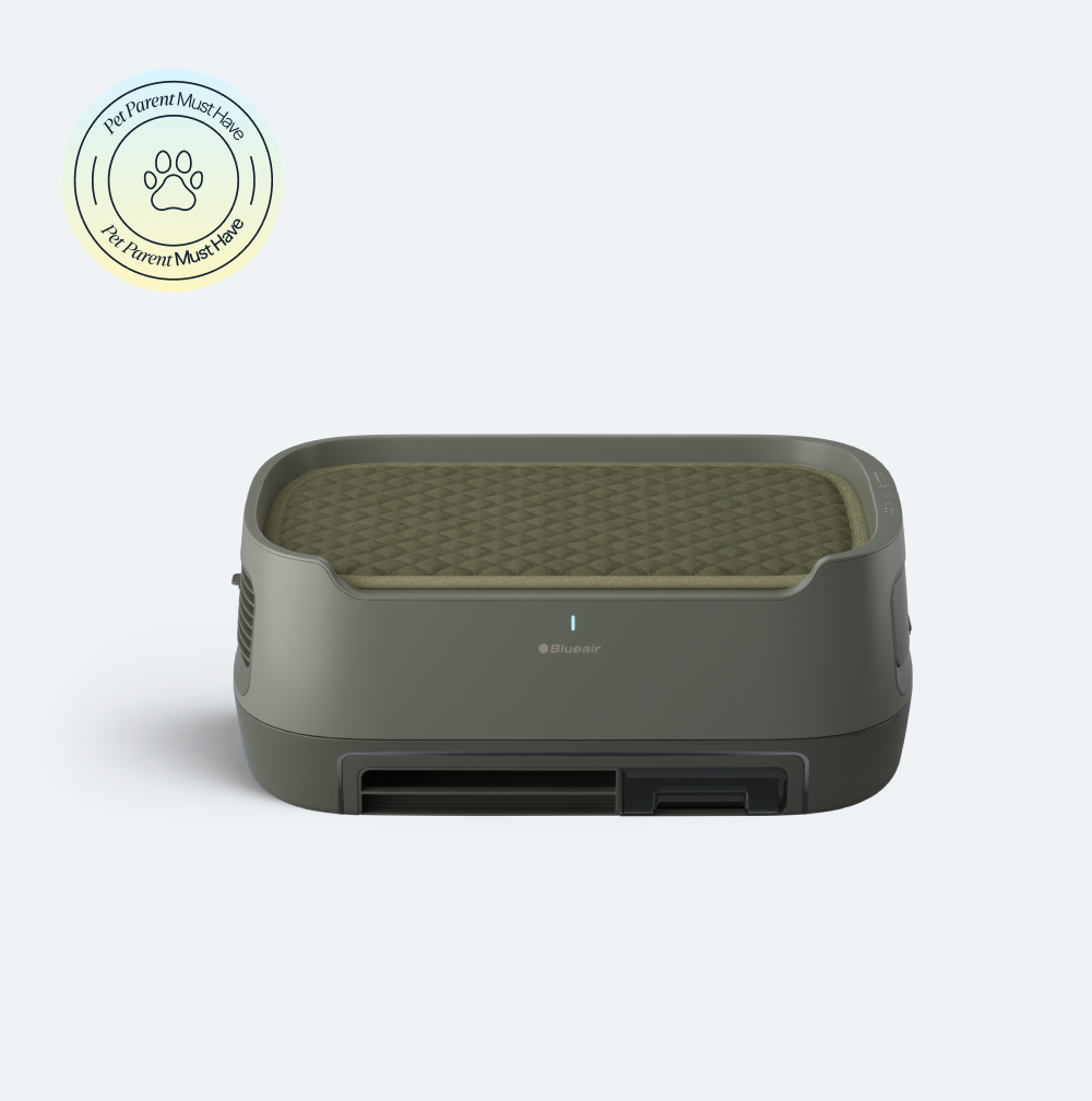 Alexa Outlet Alexa Media Markt Precio Atomi Smart Wi-Fi Color