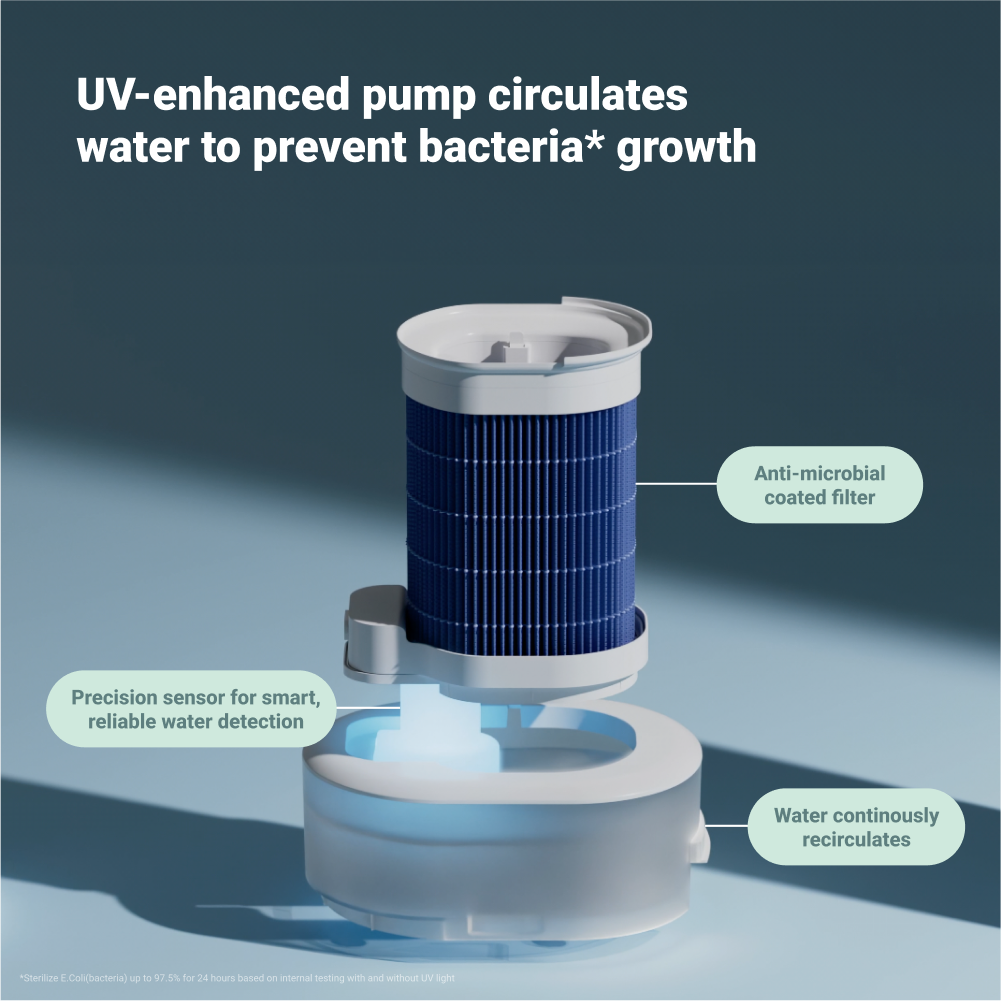 2-in-1 Purify + Humidify
