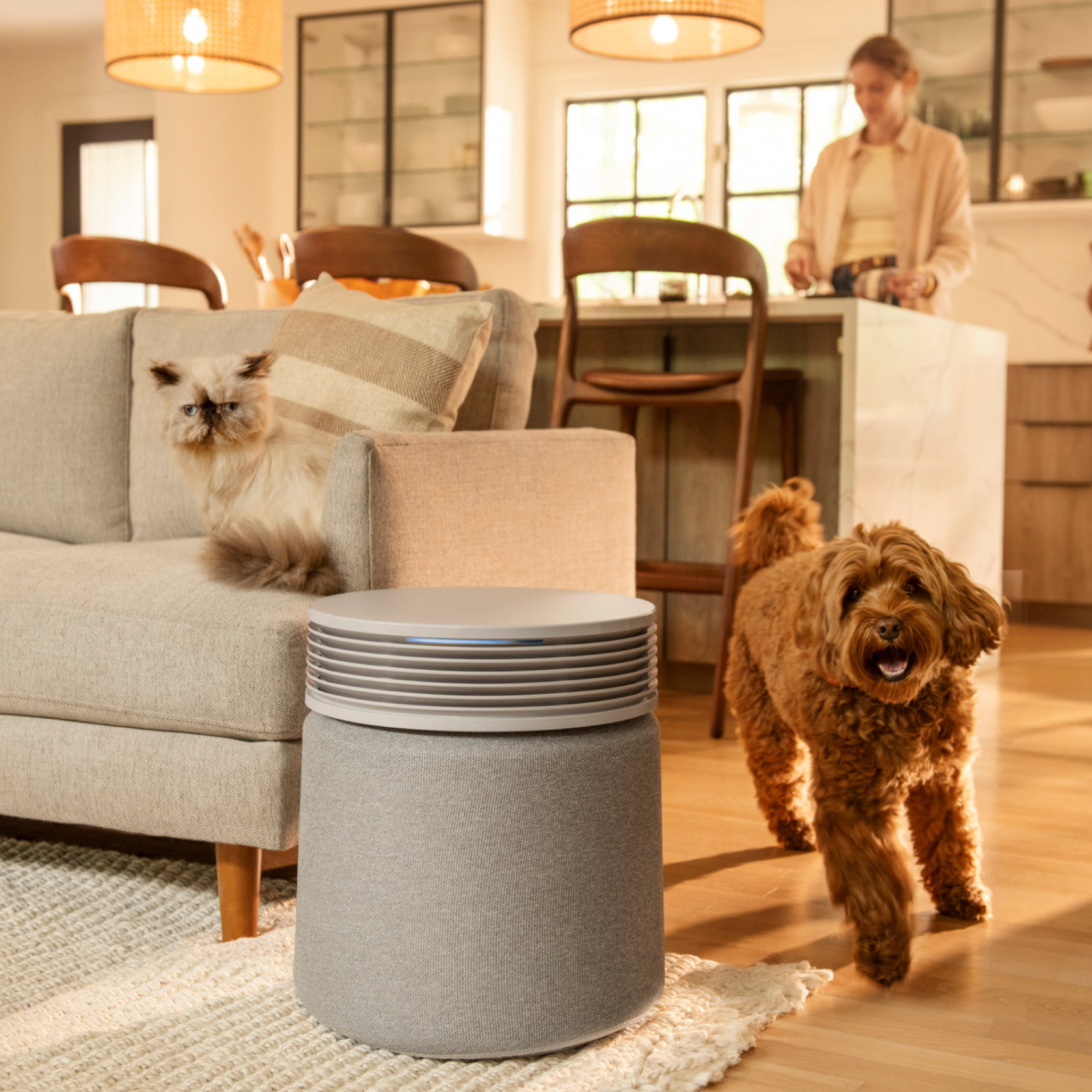 Introducing Blue Signature™: The most powerful, compact air purifier you can get