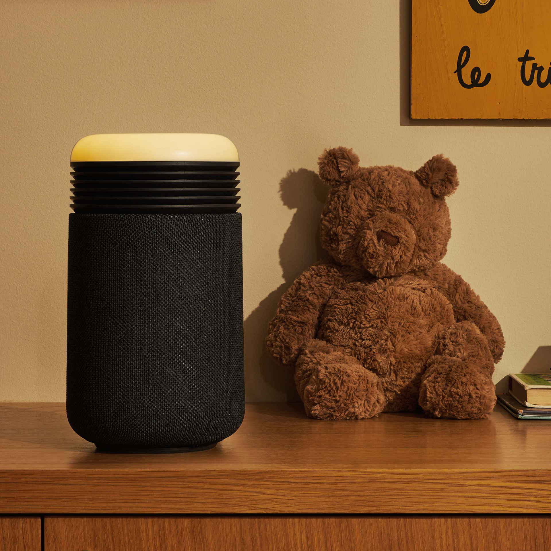 Why Blueair Purifiers Make the Perfect Gift for Fall