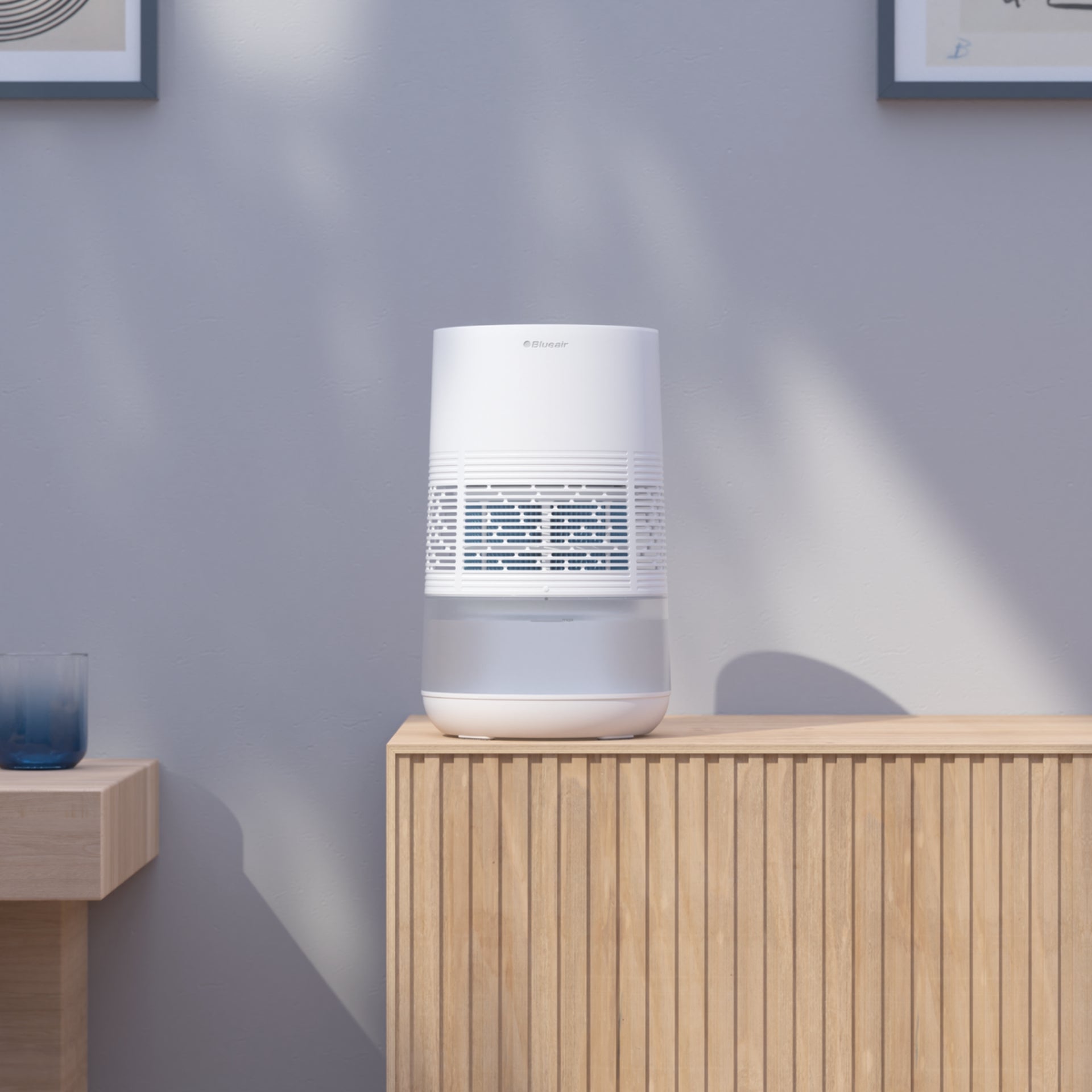 Cool Mist vs. Warm Mist Humidifiers: Which Is Better?
