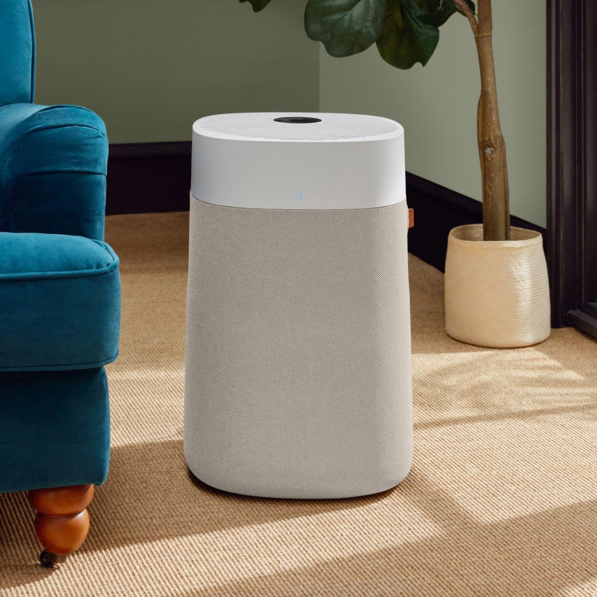 Are Air Purifiers Worth It? Cost vs Benefits Analysis