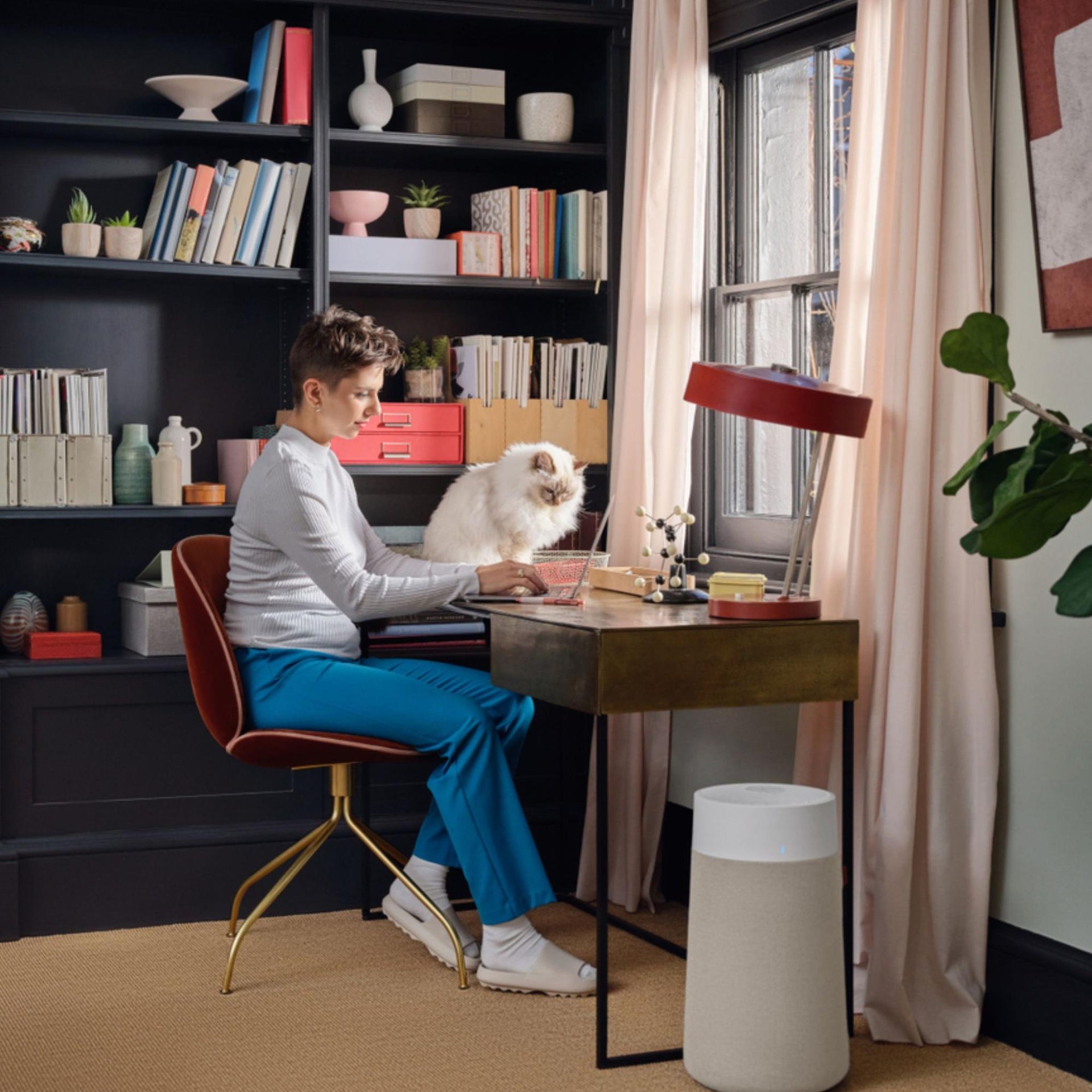 Do Air Purifiers Help with COVID and Viruses?