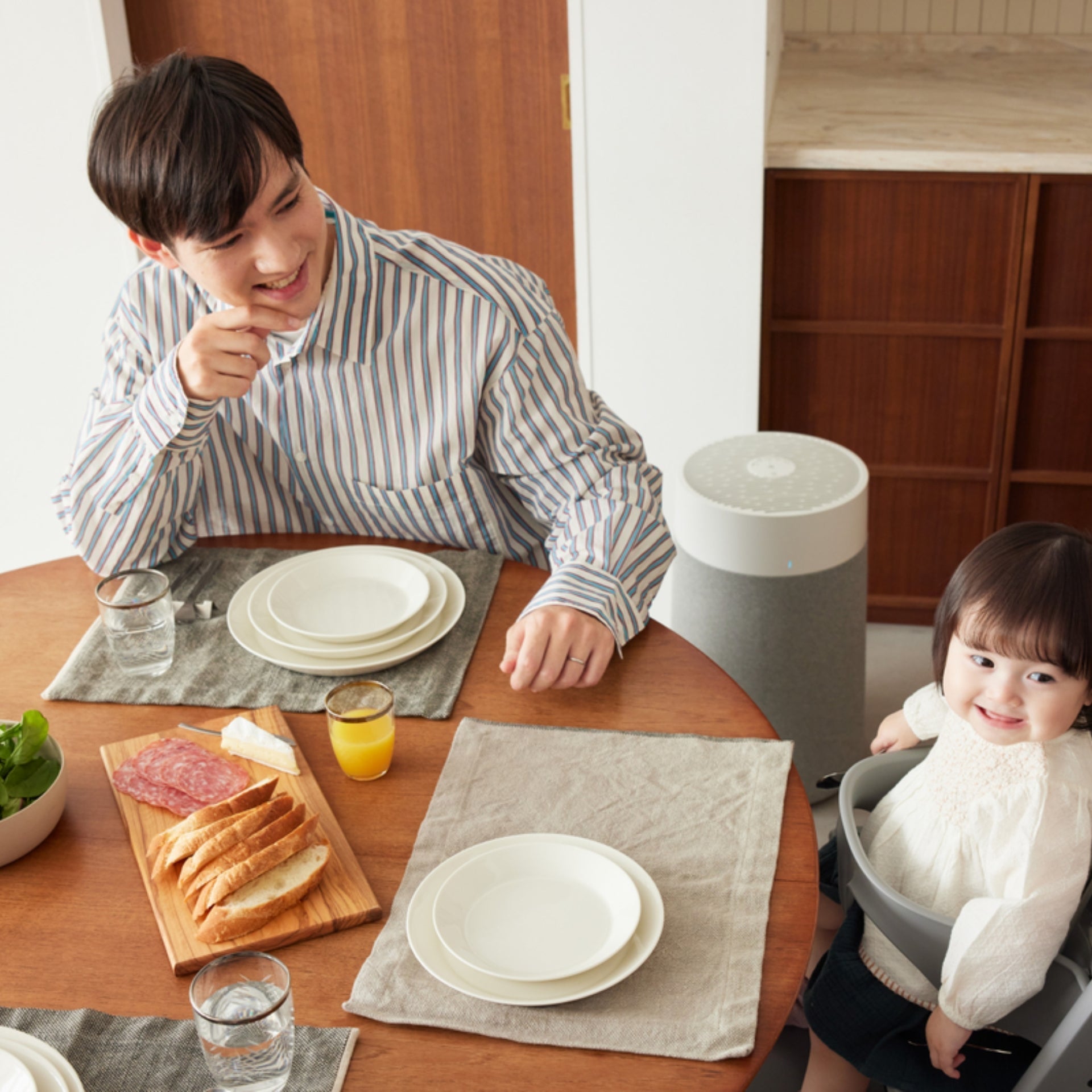 Best Air Purifier for Kitchen Odors