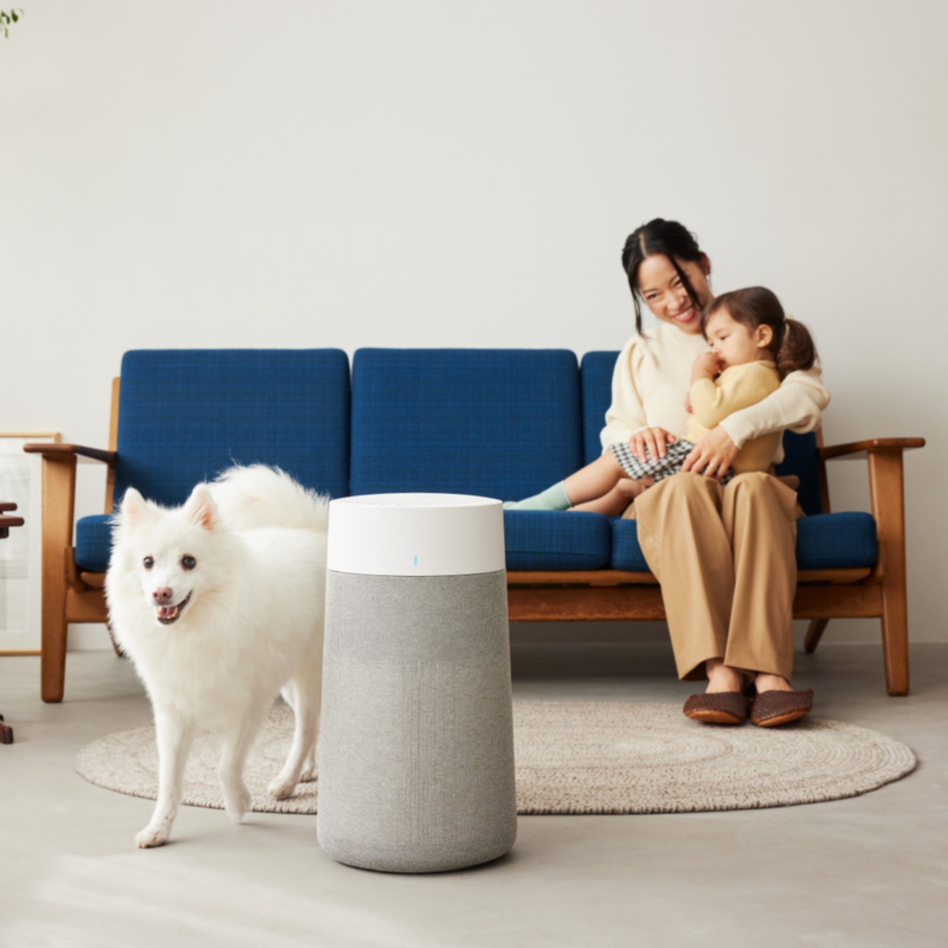 Best Low-Maintenance Air Purifier Humidifier