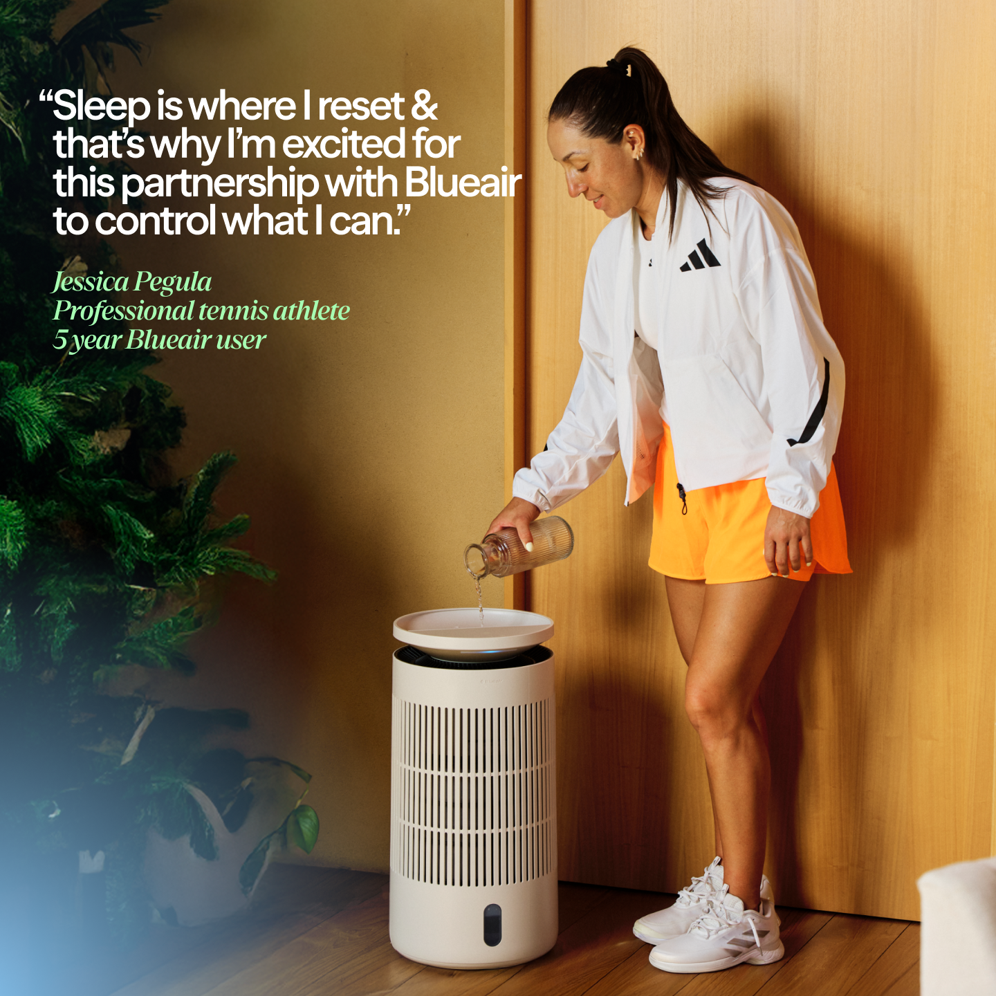 2-in-1 Pro Purify + Humidify