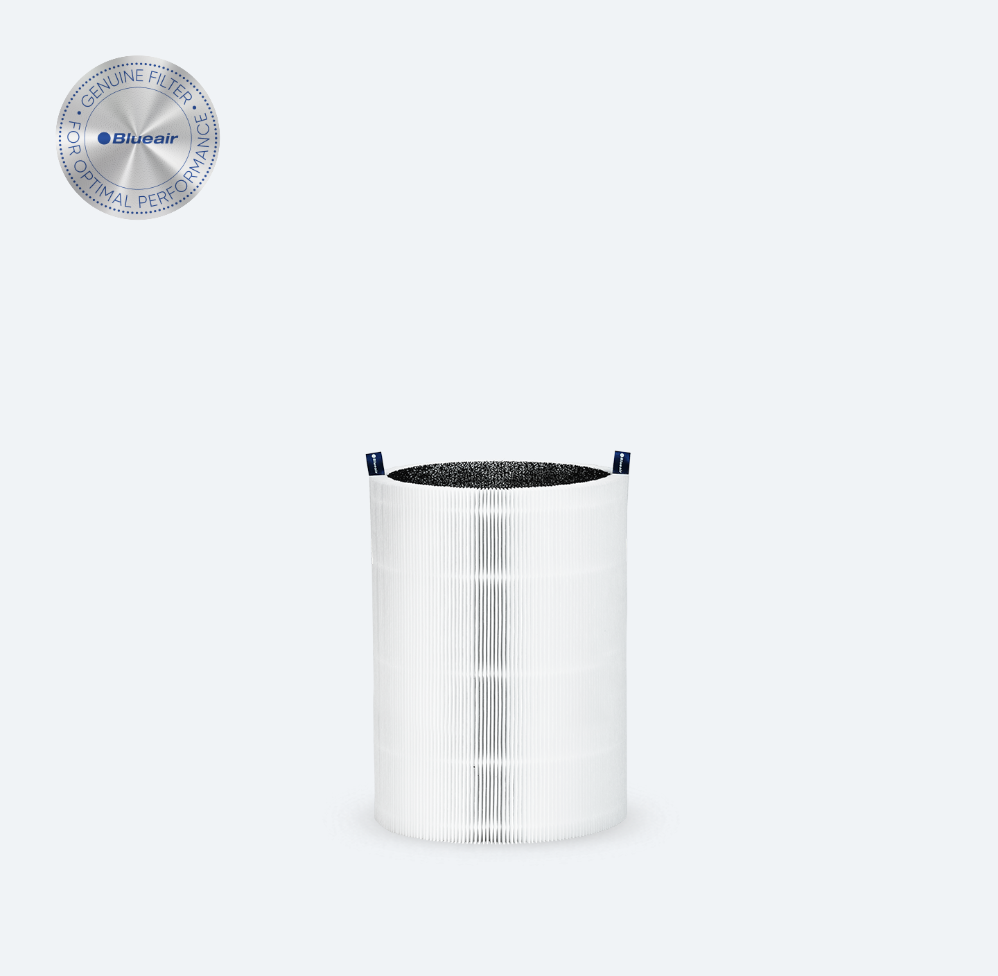 Blue Pure 311i+ Max Particle + Carbon Filter