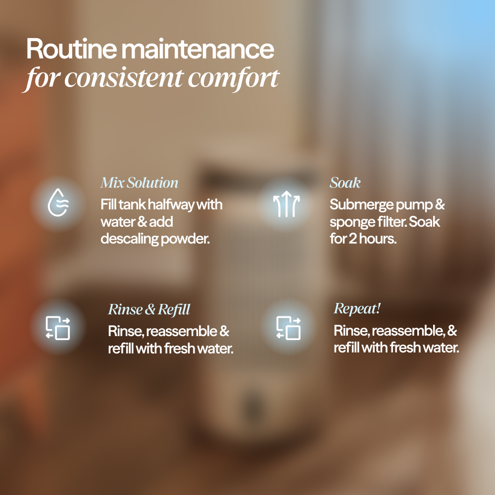 Pump & Tank Descaling 4-pack