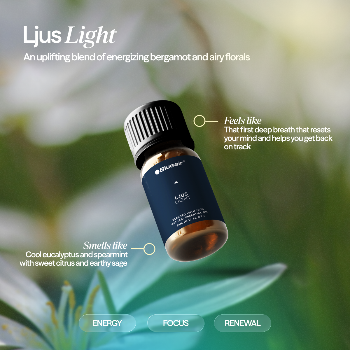 The Awakening Aroma Collection