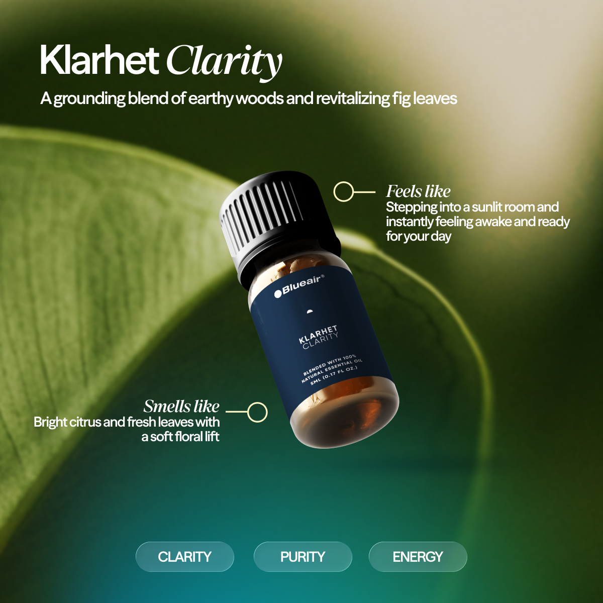 The Awakening Aroma Collection