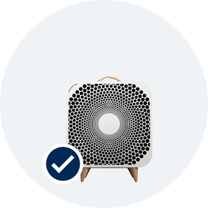 Fans | Air Circulation Fans with Blueair Purification