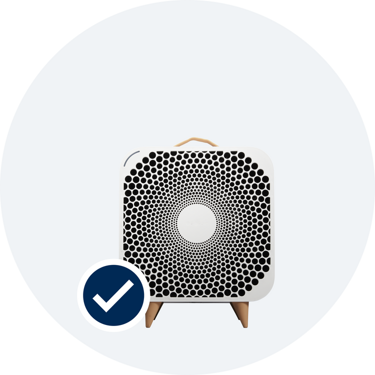 Fans | Air Circulation Fans with Blueair Purification
