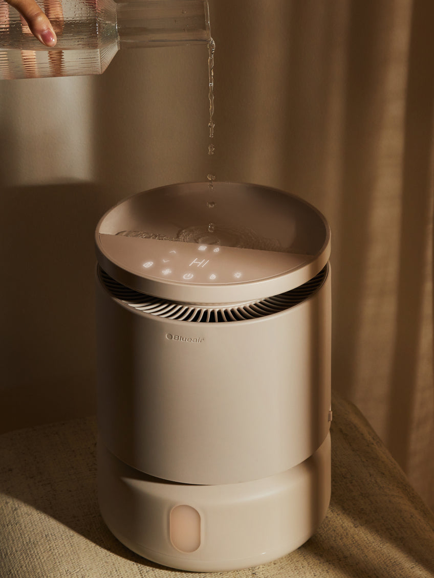 The Sleep Collection