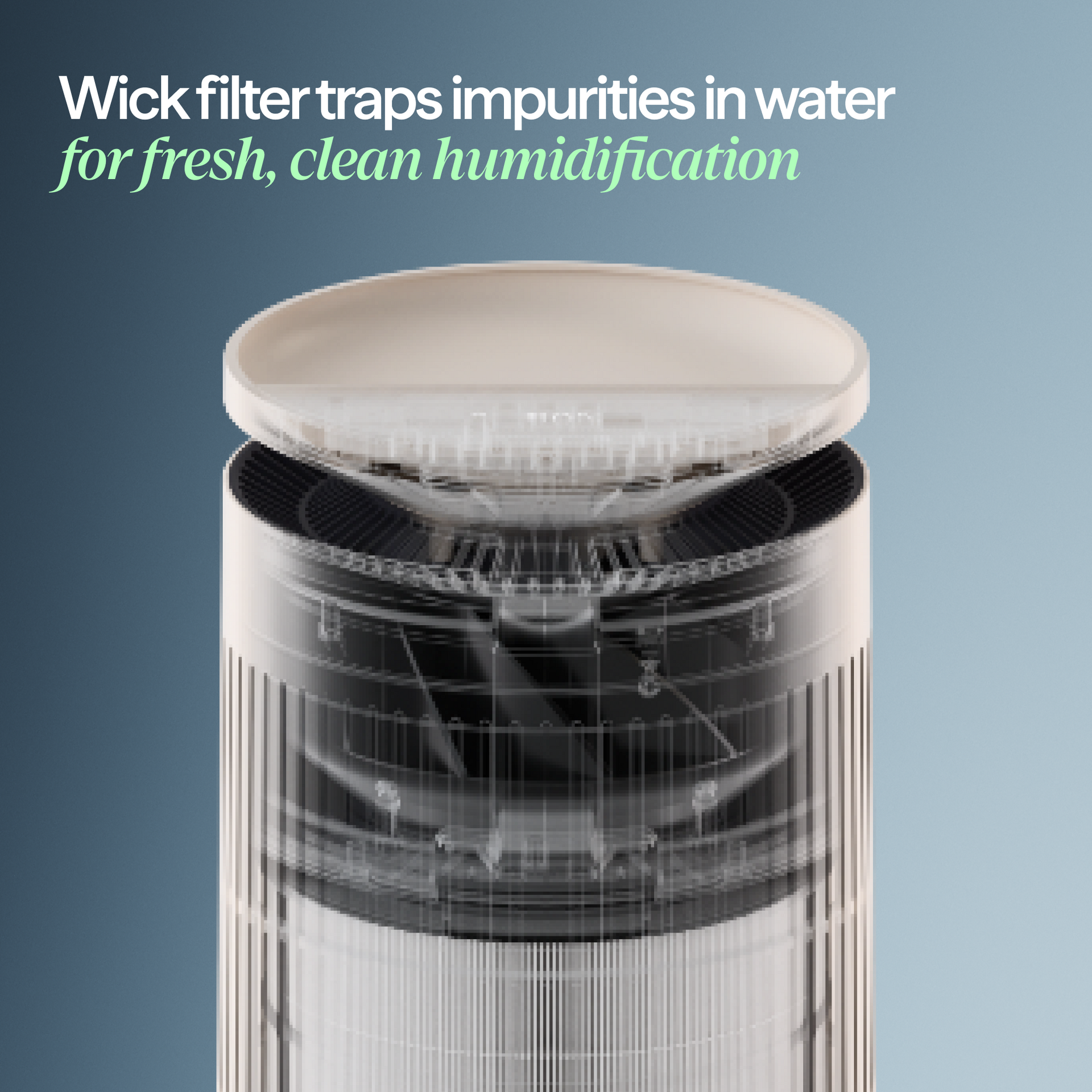 2-in-1 Pro Purify + Humidify Replacement Wick