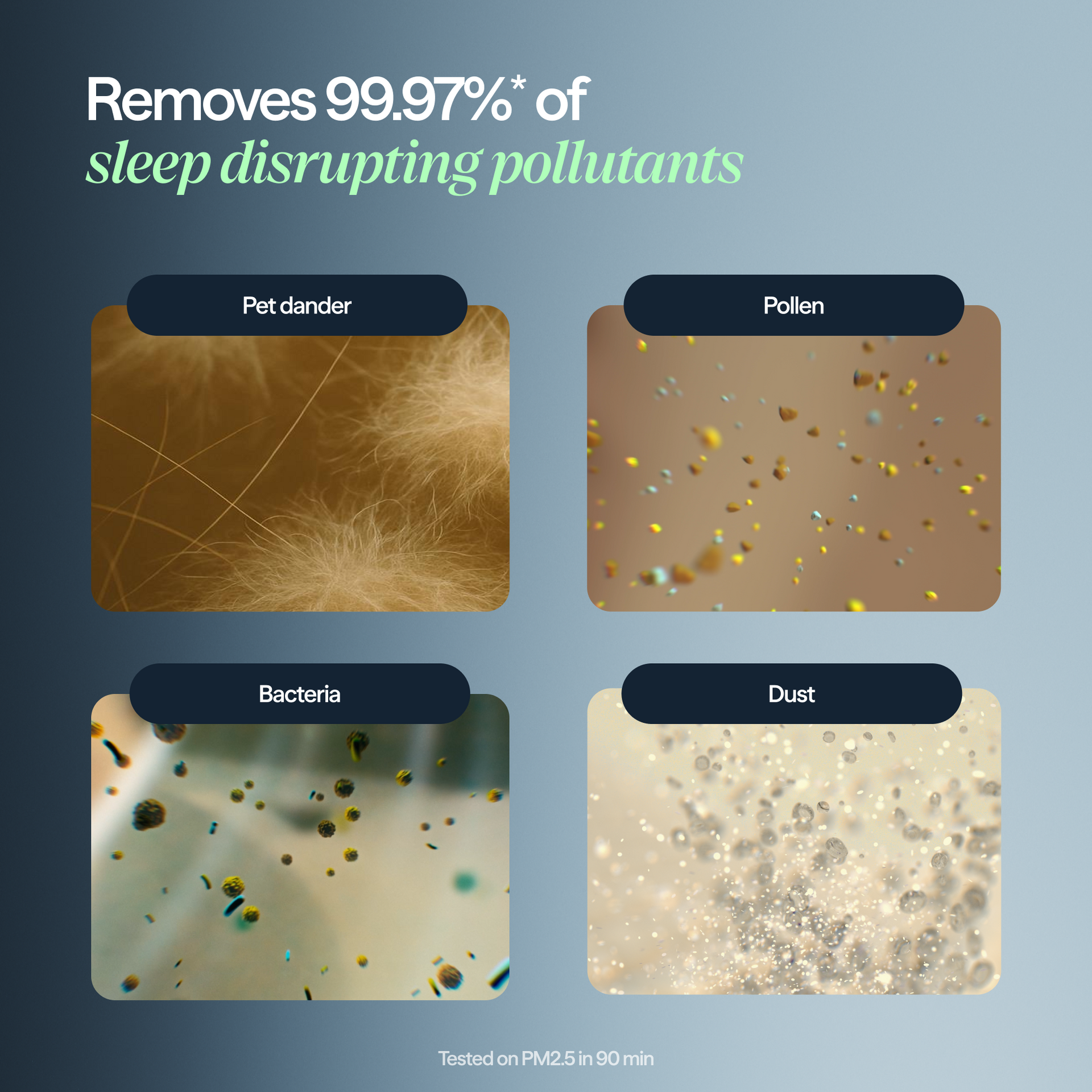 2-in-1 Pro Purify + Humidify Replacement Filter