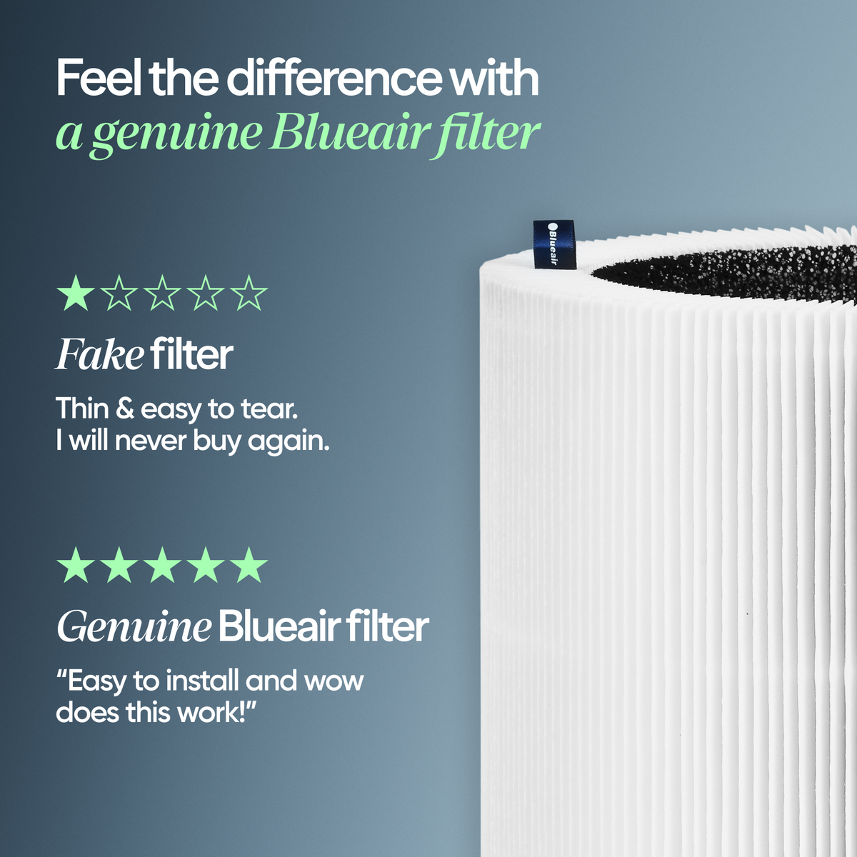 Blue Pure 311i+ Max Particle + Carbon Filter