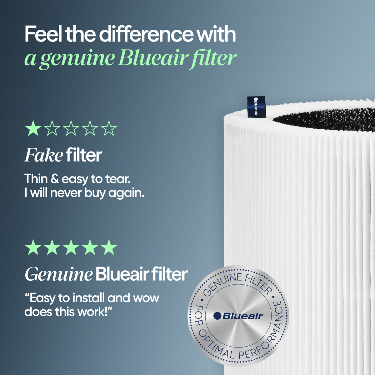 Blue Pure 211i Max Particle + Carbon Filter
