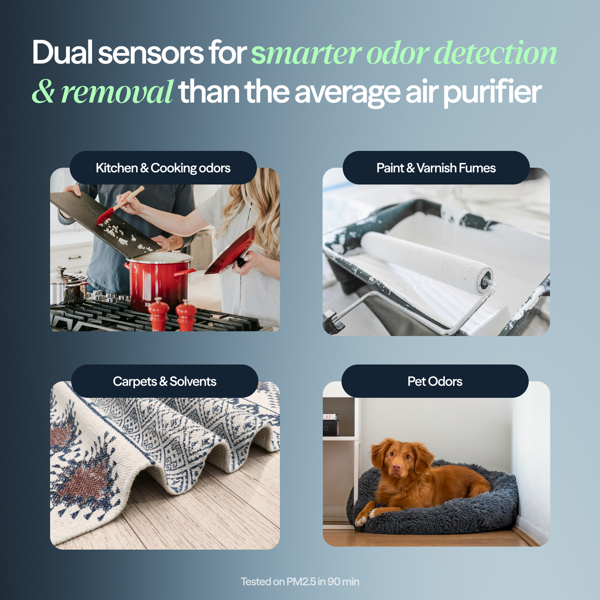 Blue Signature™ Medium Nordic Fog