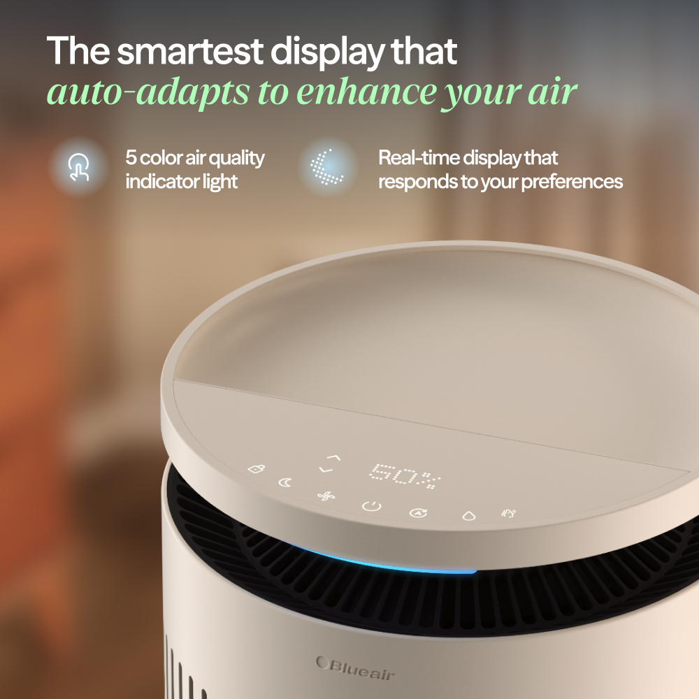 2-in-1 Pro Purify + Humidify