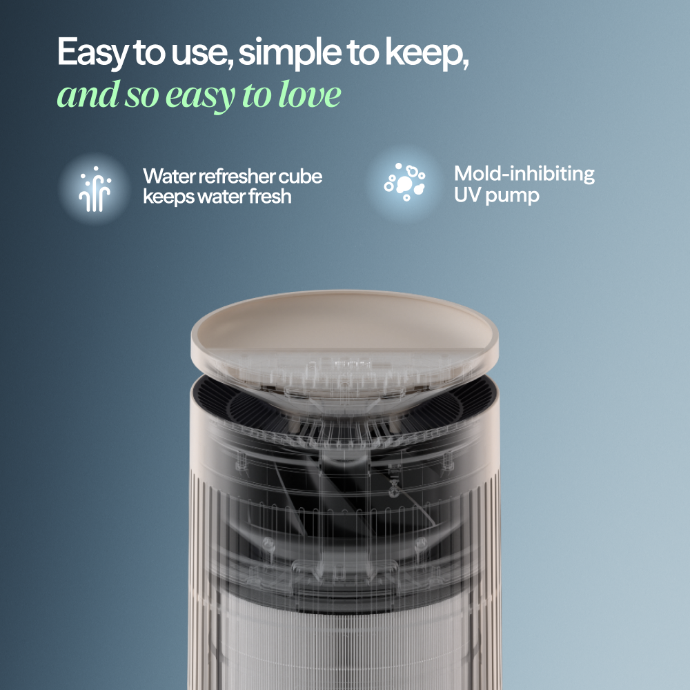 2-in-1 Pro Purify + Humidify