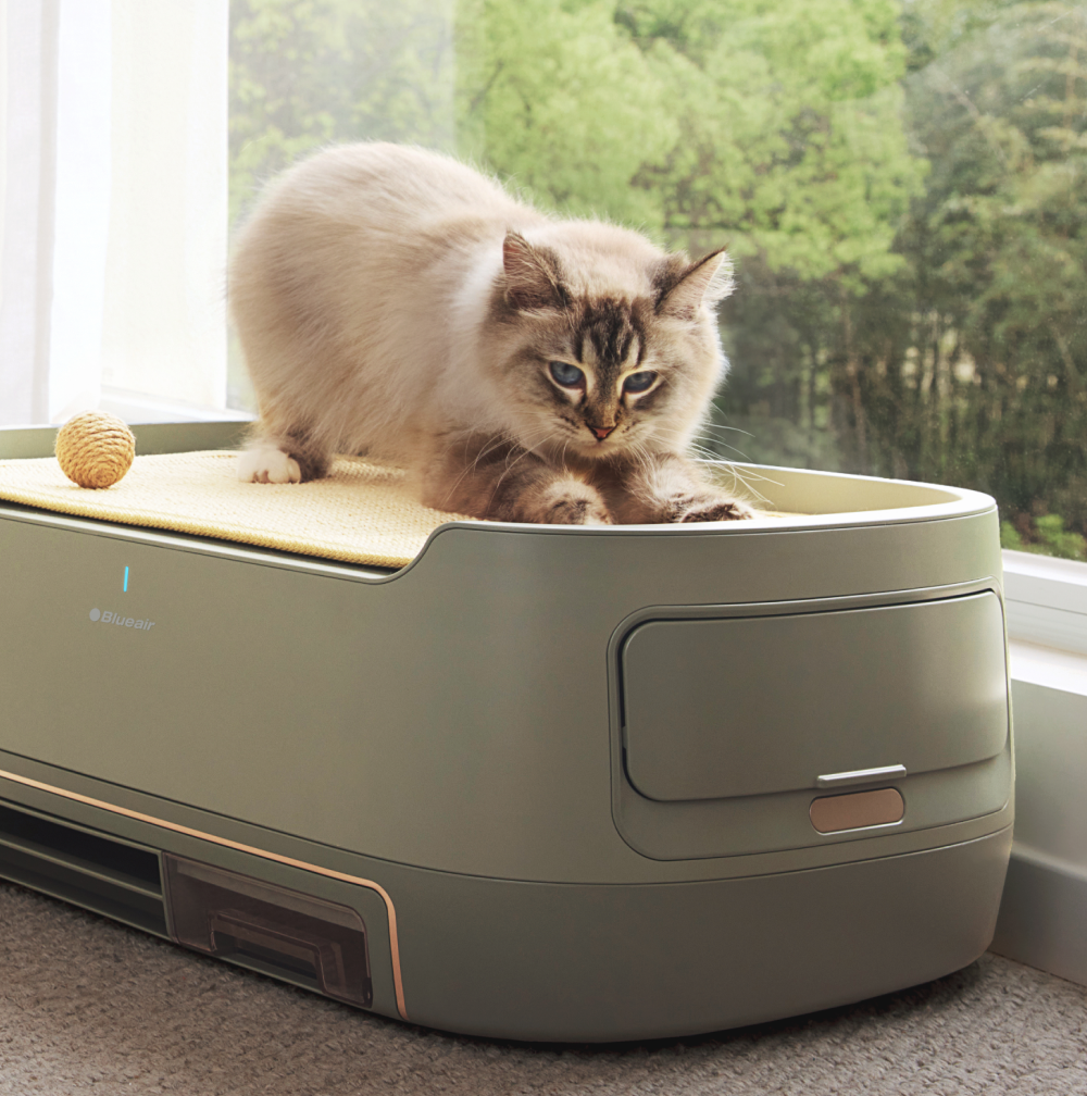 PetAir Pro Scratch Bed