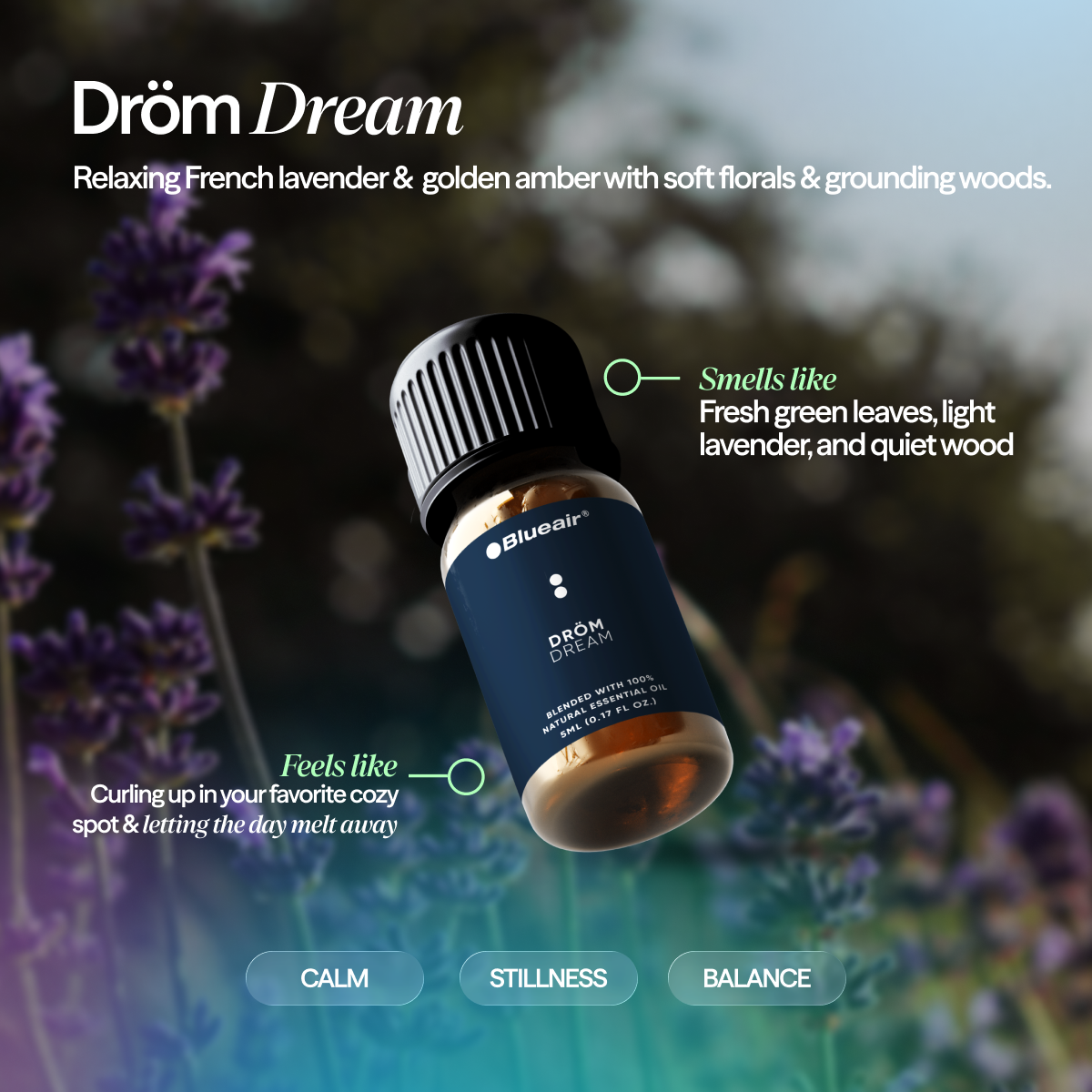 The Serenity + Awakening Collection Bundle