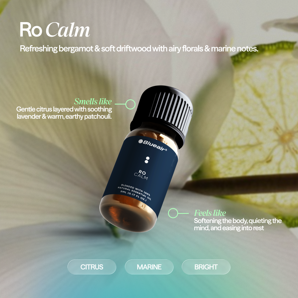 The Serenity + Awakening Collection Bundle