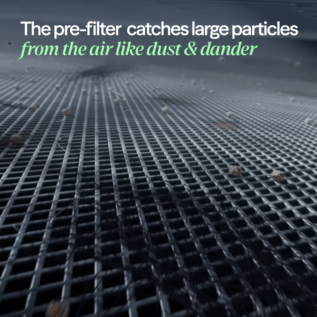Blue Pure 311i+ Max Particle + Carbon Filter