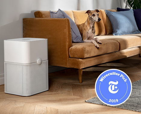 Blue 231 Air Purifier For Up To 50 M², Best Sleeper Sofa 2020 Wirecutter