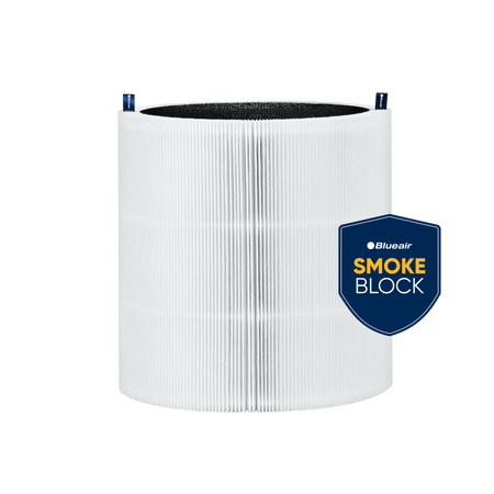 FMINI SmokeBlock Replacement Filter for Mini Max