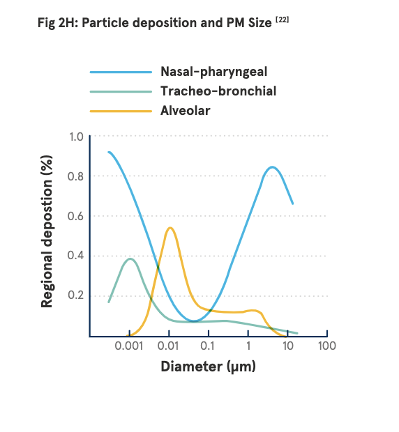 Blueair Particle deposition and PM size